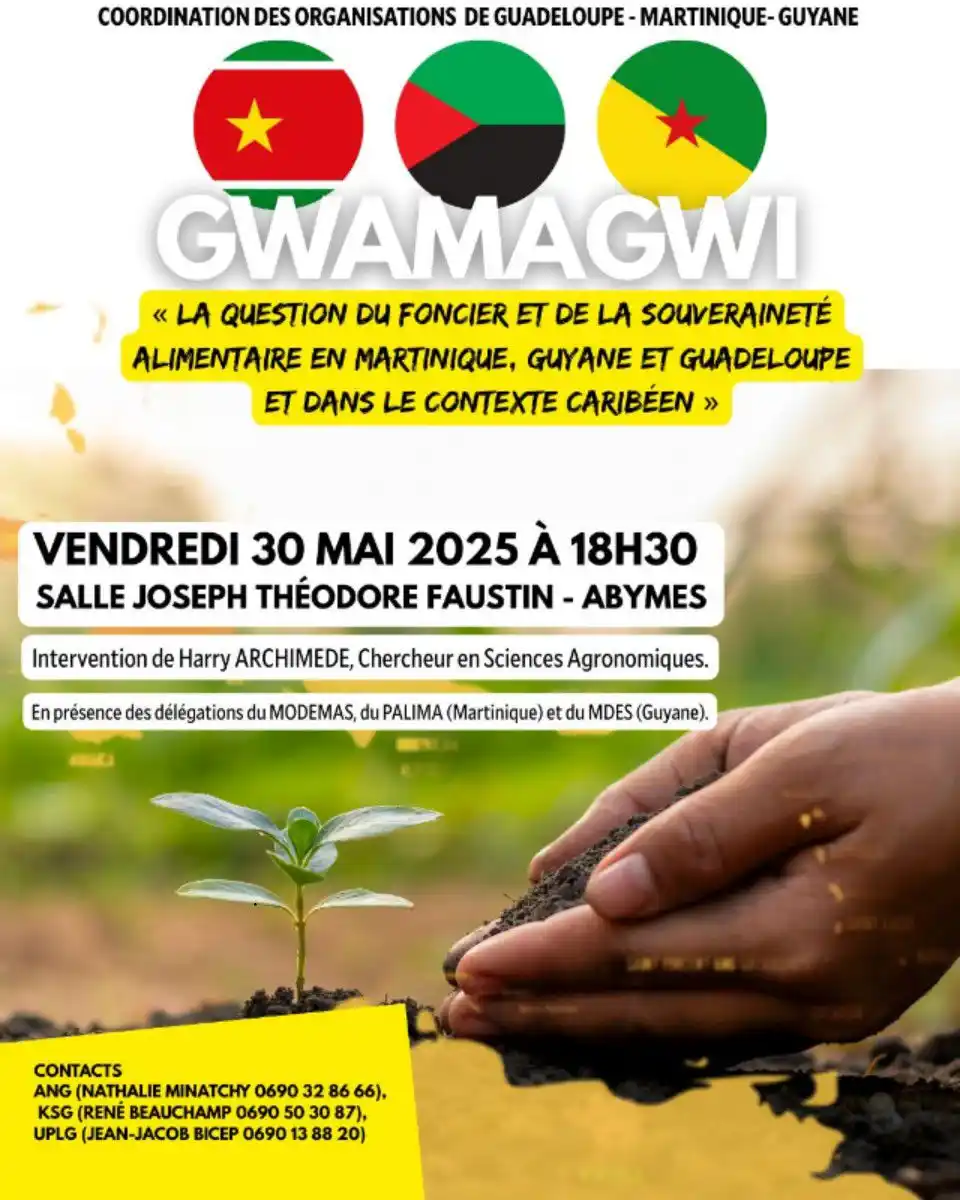 Image from Alyans Nasyonal Gwadloup | ANG : L’ANG, le KSG et l’UPLG ont contribué avec le PALIMA et le MODEMAS de ...