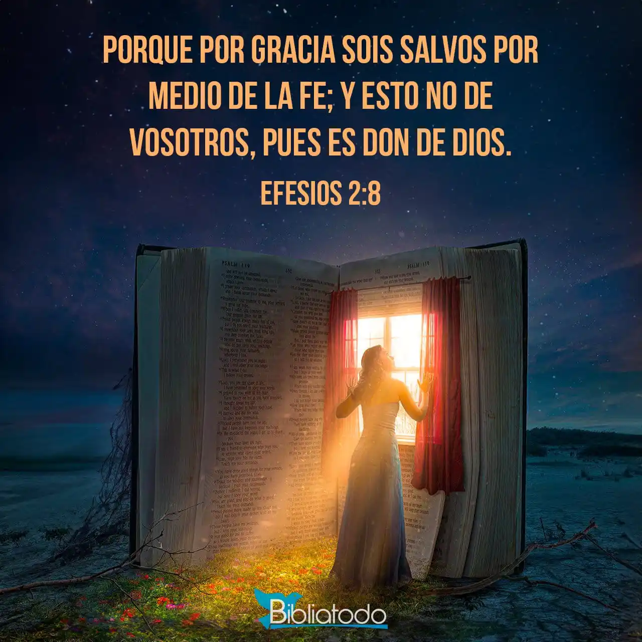 Image from BibliaTodo: *VERSÍCULO DEL DÍA - 17 DE JUNIO DEL 2025* *Efesios 2:8* 📖 Nuestra ...