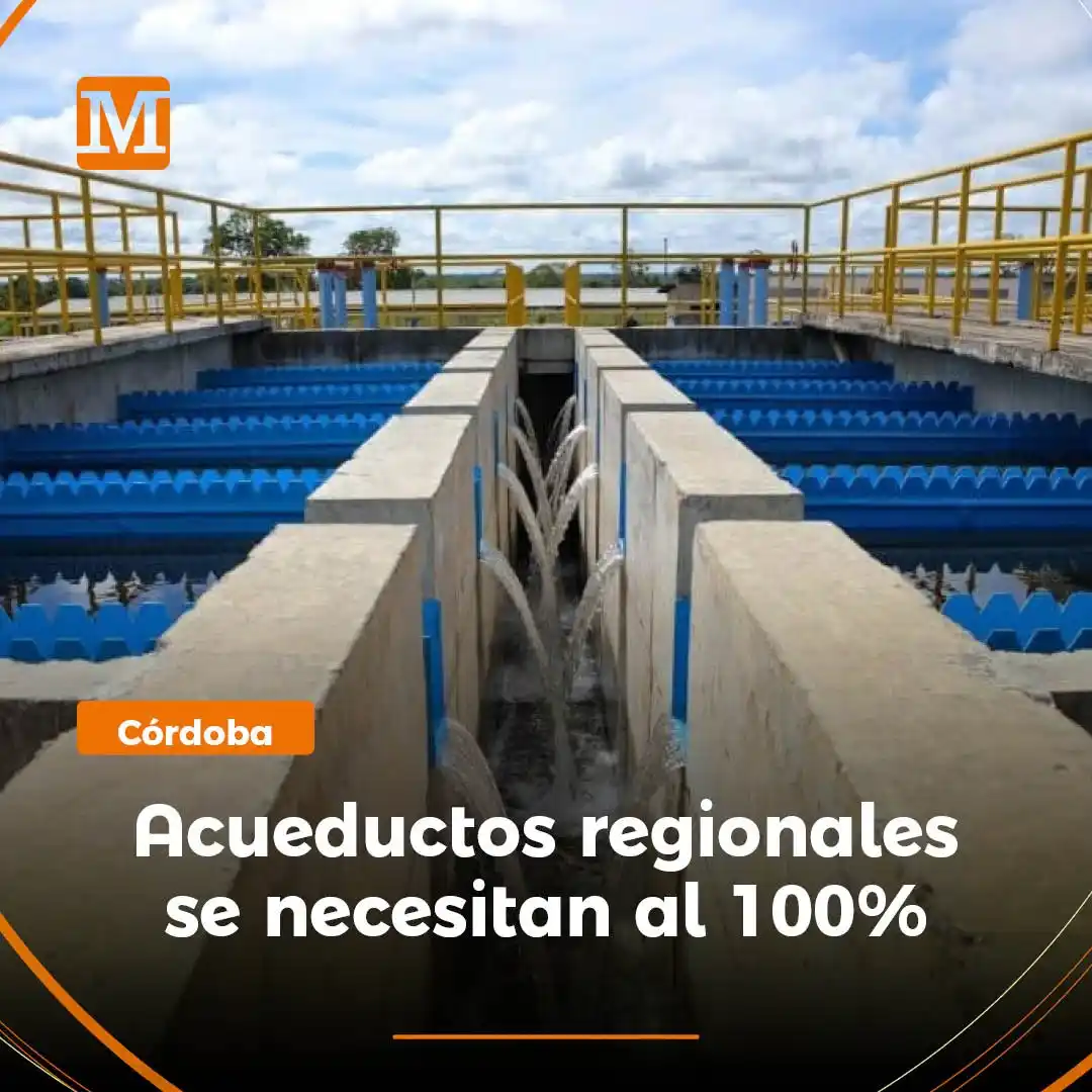 Image from El Meridiano: <a class="text-blue-500 hover:underline cursor-pointer" href="/hashtag...