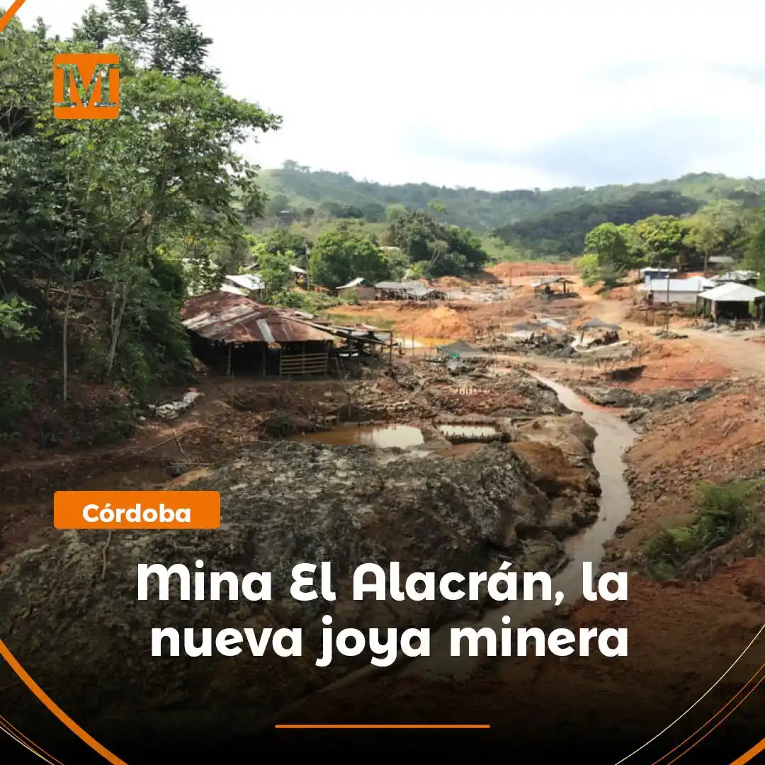 Image from El Meridiano: <a class="text-blue-500 hover:underline cursor-pointer" href="/hashtag...