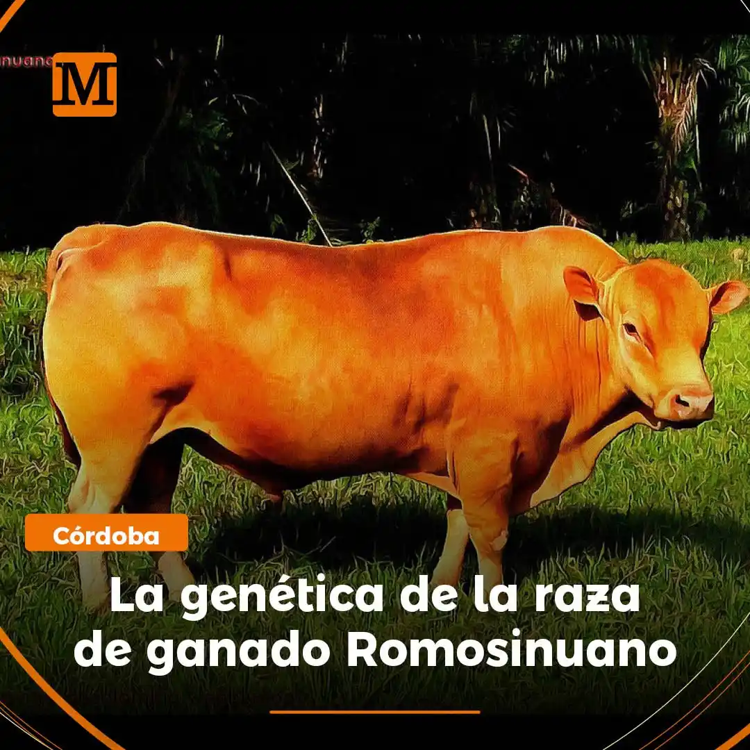 Image from El Meridiano: <a class="text-blue-500 hover:underline cursor-pointer" href="/hashtag...