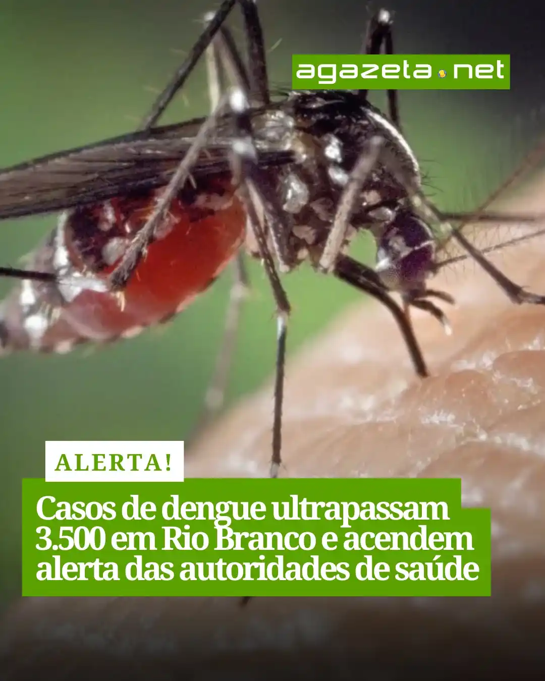 Image from TV Gazeta / Agazeta.net: *Com um óbito confirmado e mais dois em investigação, capital acreana ...