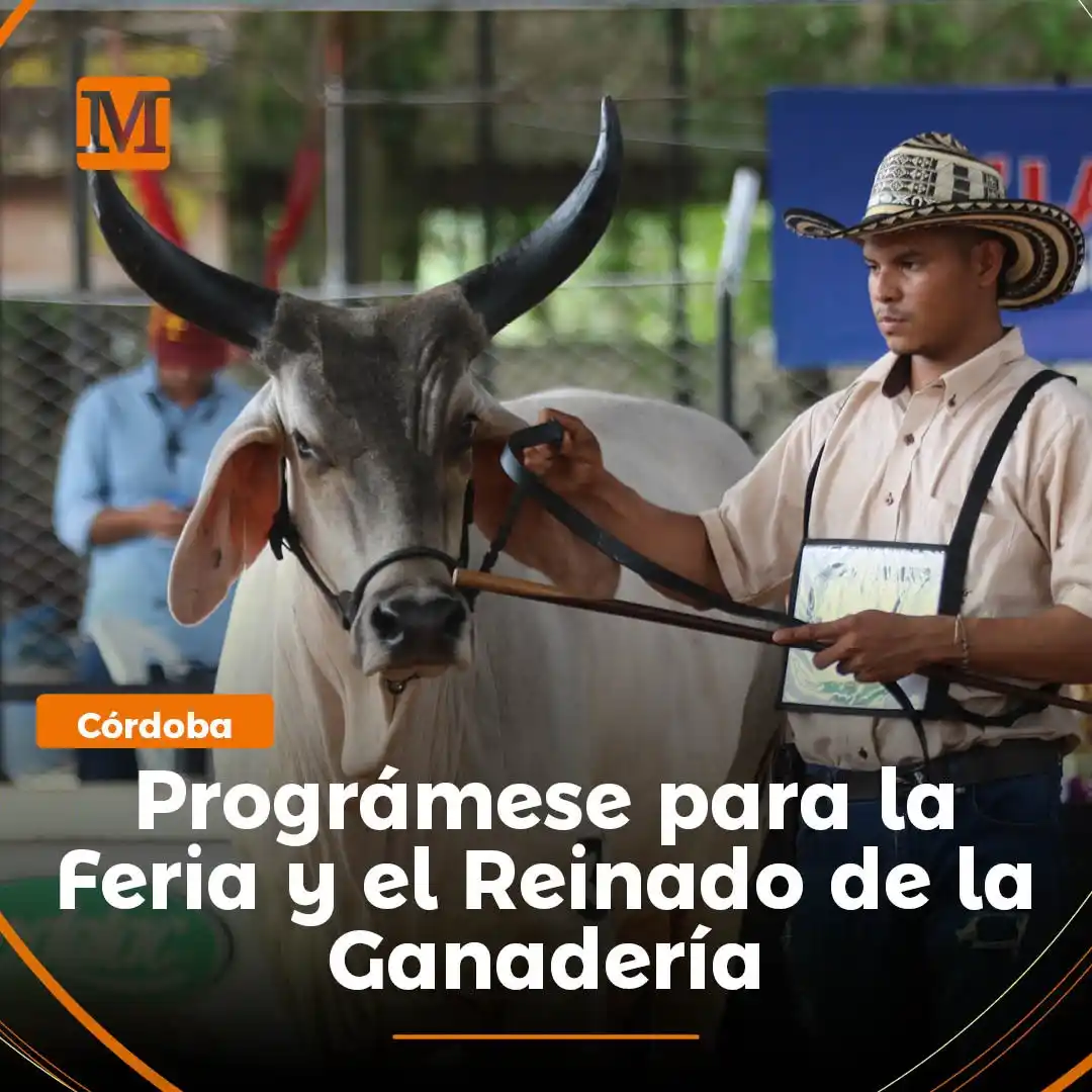Image from El Meridiano: <a class="text-blue-500 hover:underline cursor-pointer" href="/hashtag...