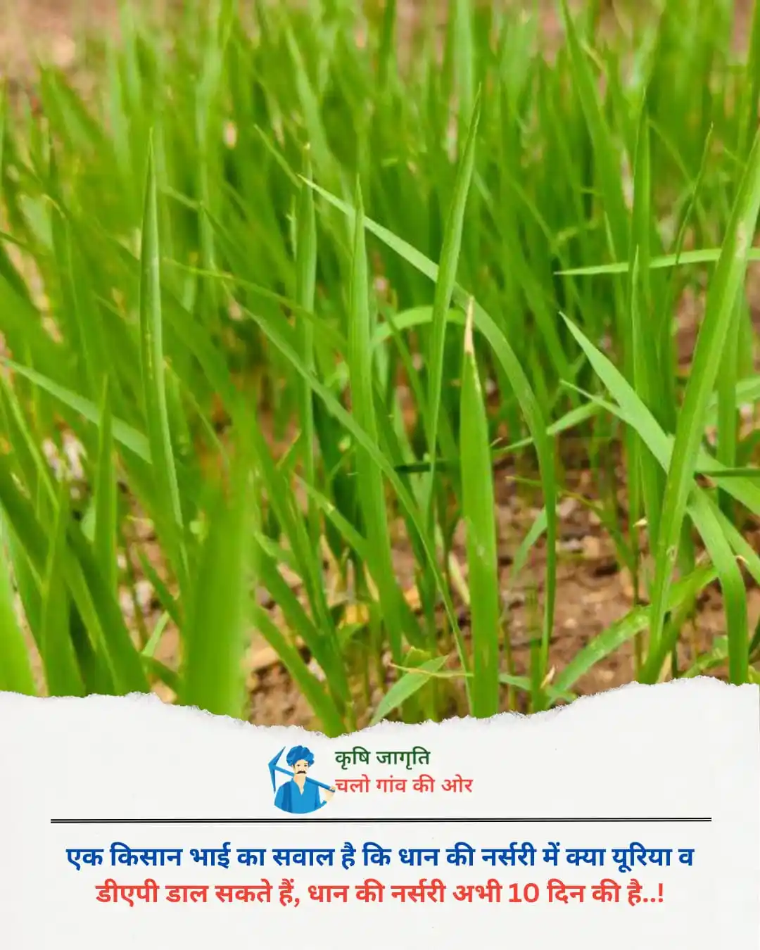 कृषि जागृति-Krishi Jagriti post