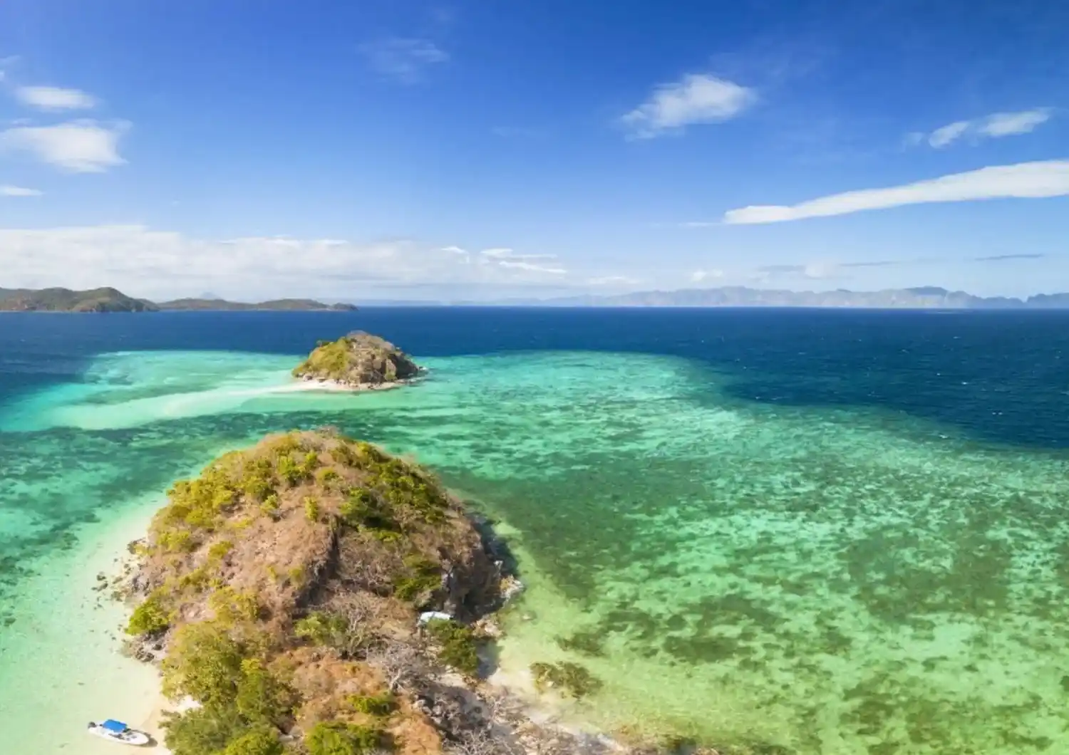 Image from Agi - Agenzia Italia: 🏝️ *La folle sfida di una coppia che ha comprato un'isola* Una coppi...
