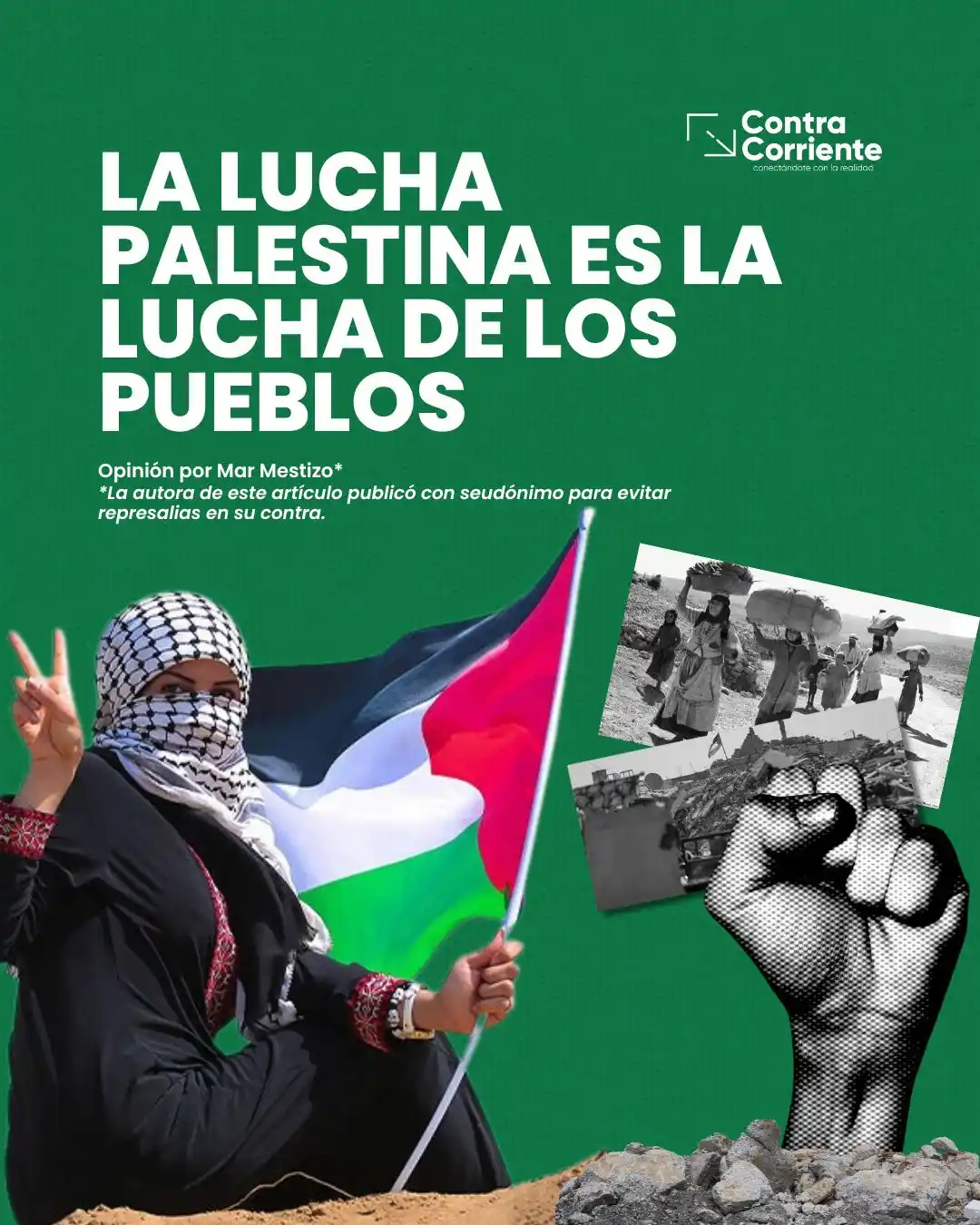 Image from Contracorriente: 📣«Lo que ocurre en Palestina no es una guerra, es un g3n0cidi0 sosten...