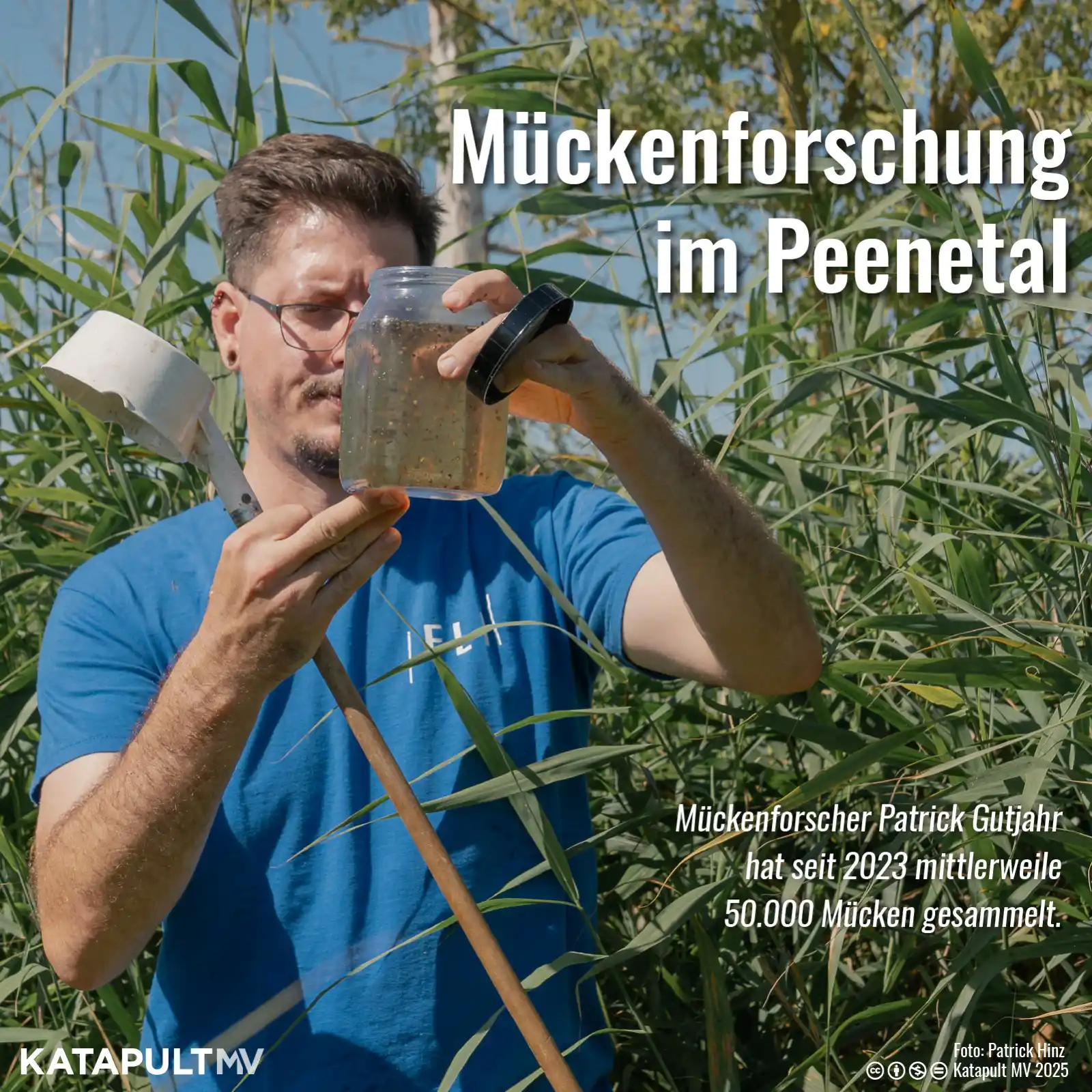 Image from KATAPULT MV: *Mückenprofis auf der Jagd im Peenetal* Am Friedrich-Loeffler-Institu...