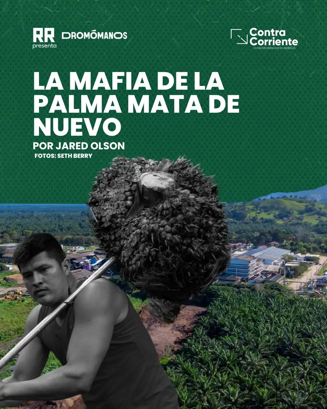 Image from Contracorriente: 🌴 ¿Quién manda en el Aguán? Mientras el gobierno promete paz, los ca...