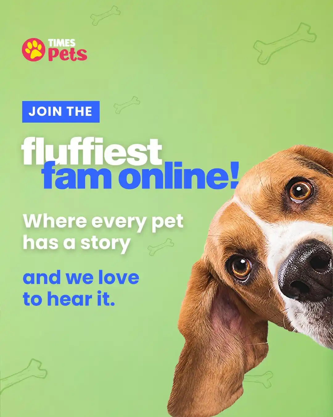 Image from The Times of India: *Times Pets* _This is where your pet's personality gets the spotlight...