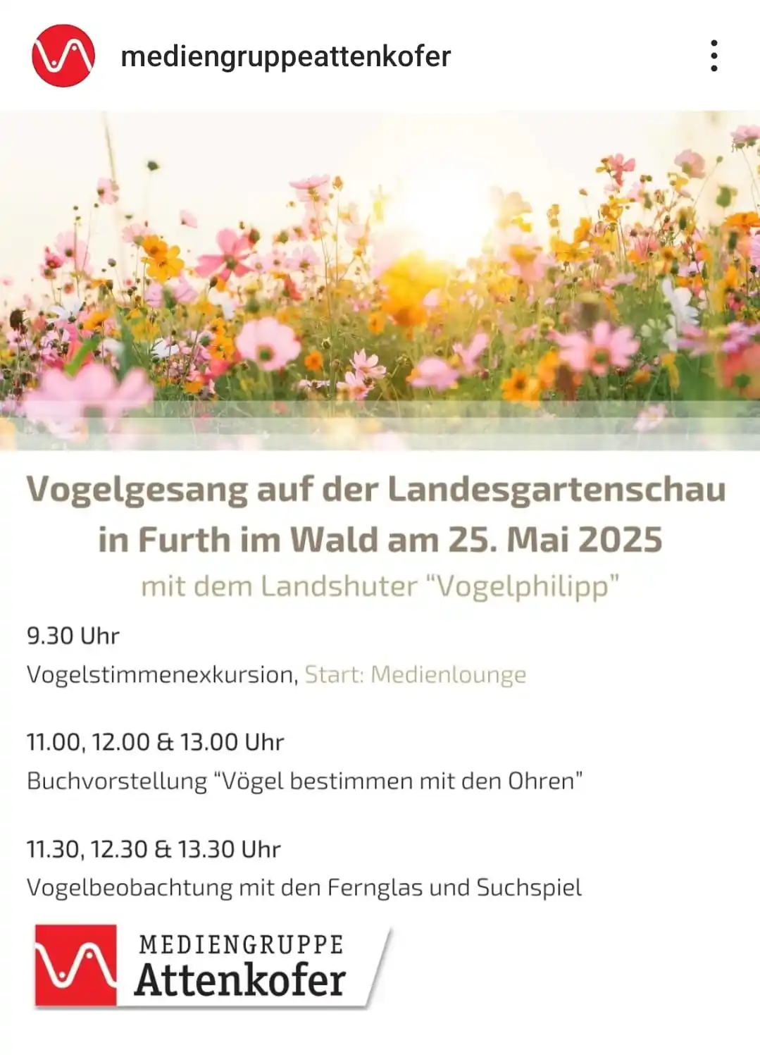 Vogelphilipp Vogelkunde post