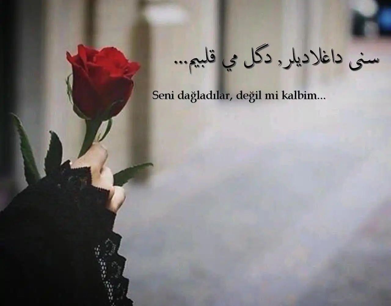 Image from Kelimelerin Dansı: Dayan Kalbim 🥺 Seni dağladılar, değil mi kalbim, Her yanın, içi su ...