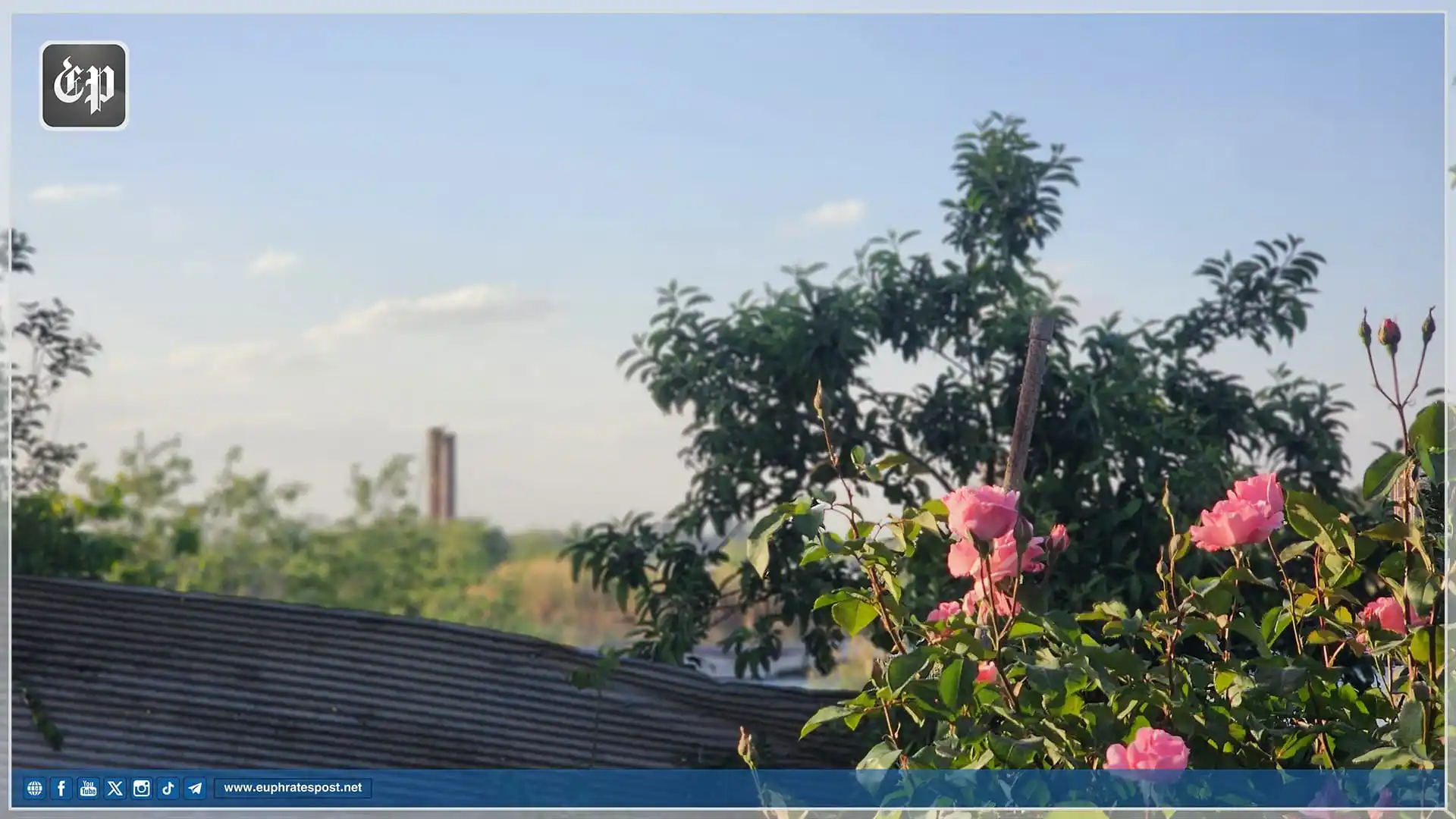 Image from القناة الرسمية لمؤسسة فرات بوست الإعلامية
Official Page of Euphrates Post media Foundation: <a class="text-blue-500 hover:underline cursor-pointer" href="/hashtag...