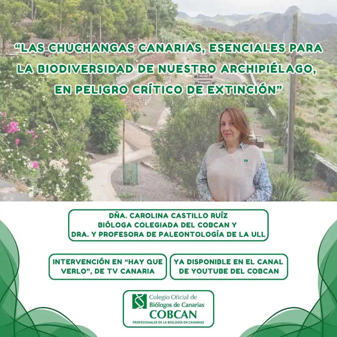COBCAN - Colegio Oficial de Biólogos de Canarias🧬 post