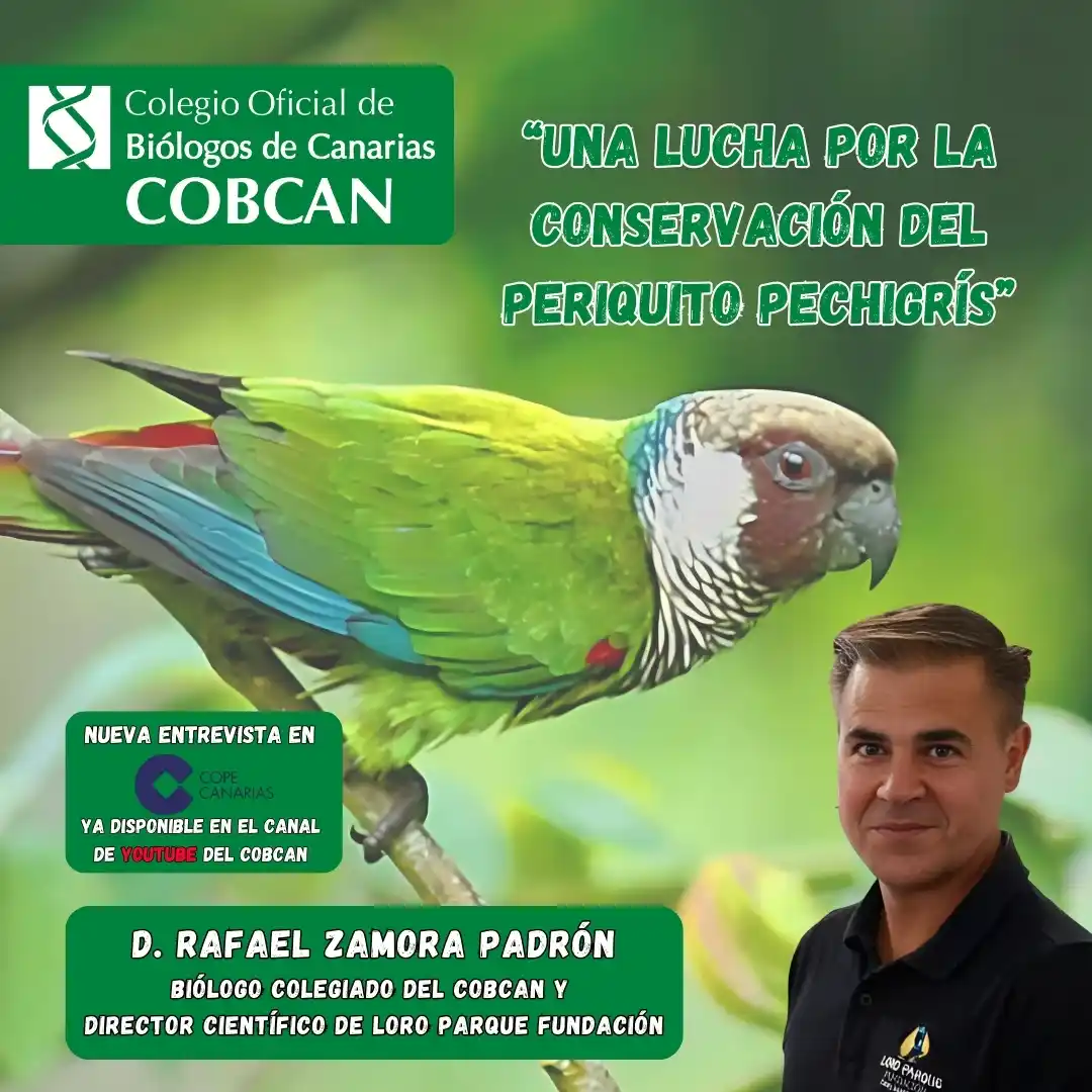 COBCAN - Colegio Oficial de Biólogos de Canarias🧬 post