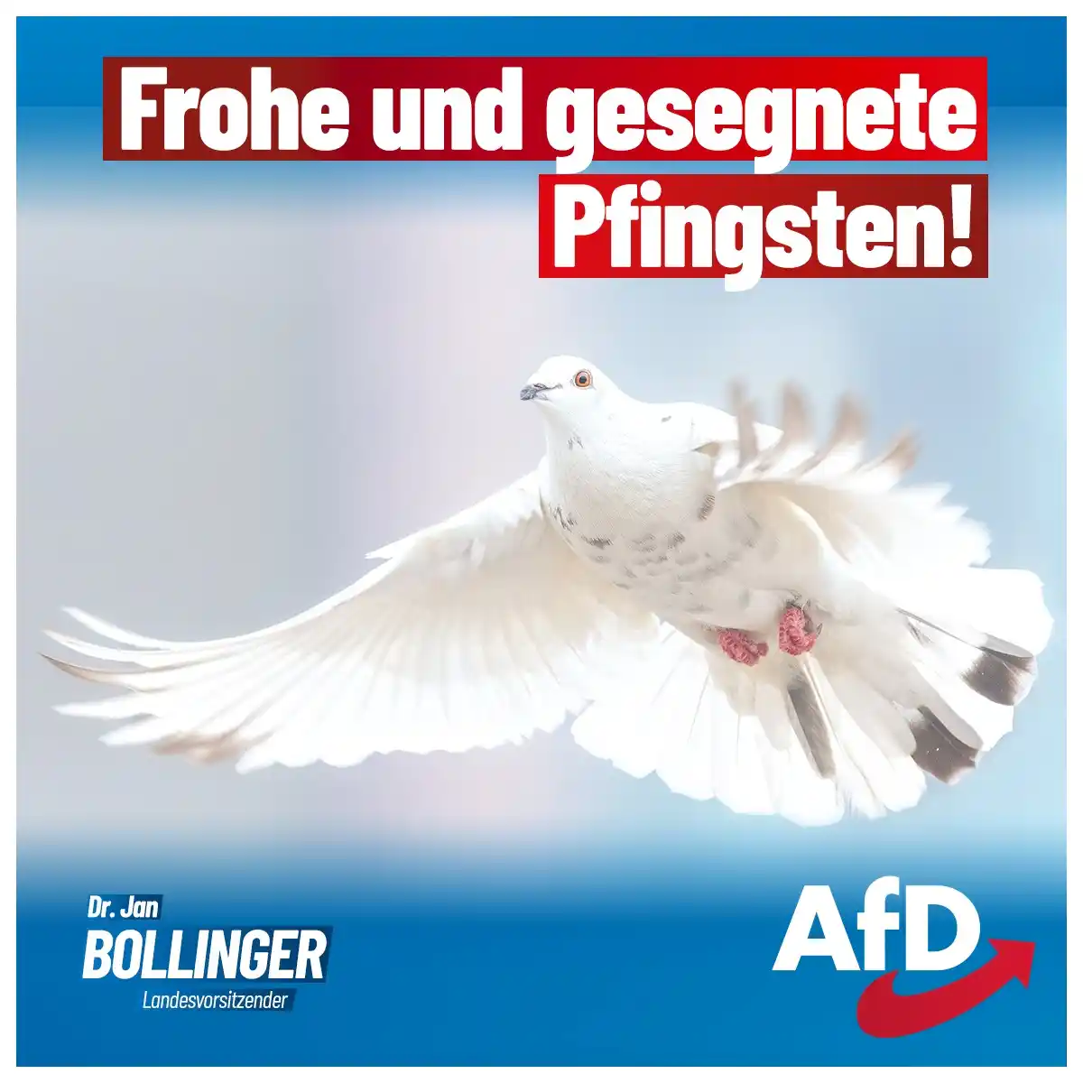 Image from Dr. Jan Bollinger (AfD): Ich wünsche frohe Pfingsten und schöne Feiertage!...