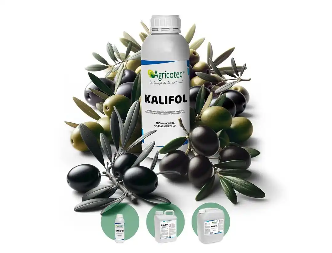 Image from Agricotec Fertilizantes: *Kalifol: el potasio que impulsa tu olivar.* En las fases finales del...