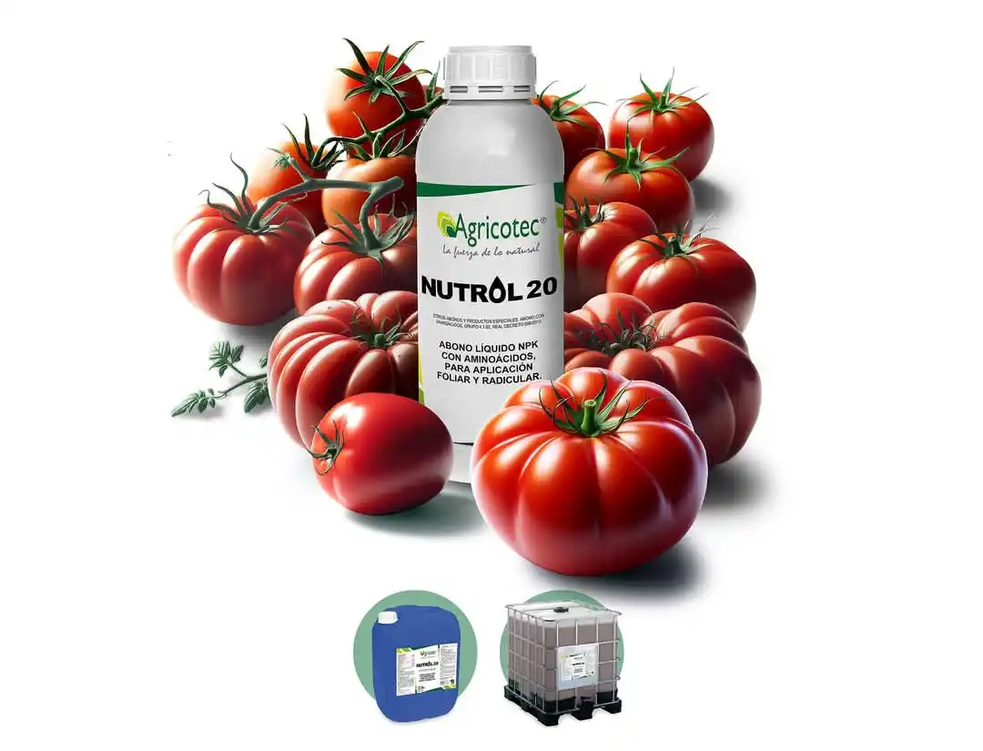 Image from Agricotec Fertilizantes: *Nutrol 20* proporciona una nutrición inicial adecuada para el desarro...