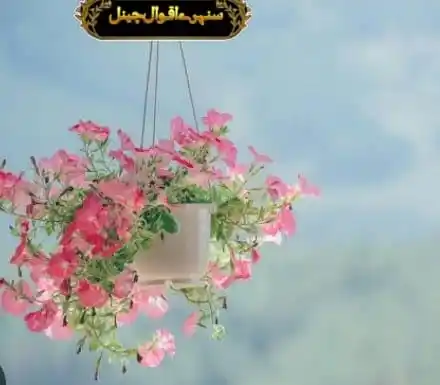 Image from 💫 سنہـــــرے اقـوال چینــل 💫: *_______وہ کہتے ہیں نا کہ "زندگی بہت خوبصورت ہے"…_ ذرا جی کر تو _دیکھو...