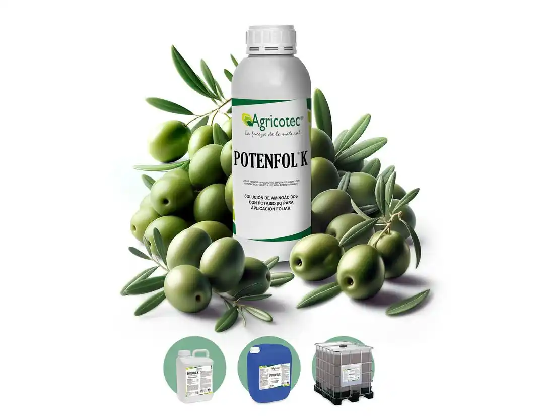 Image from Agricotec Fertilizantes: *Potenfol K: nutrición foliar para un olivar más activo y rentable.* ...