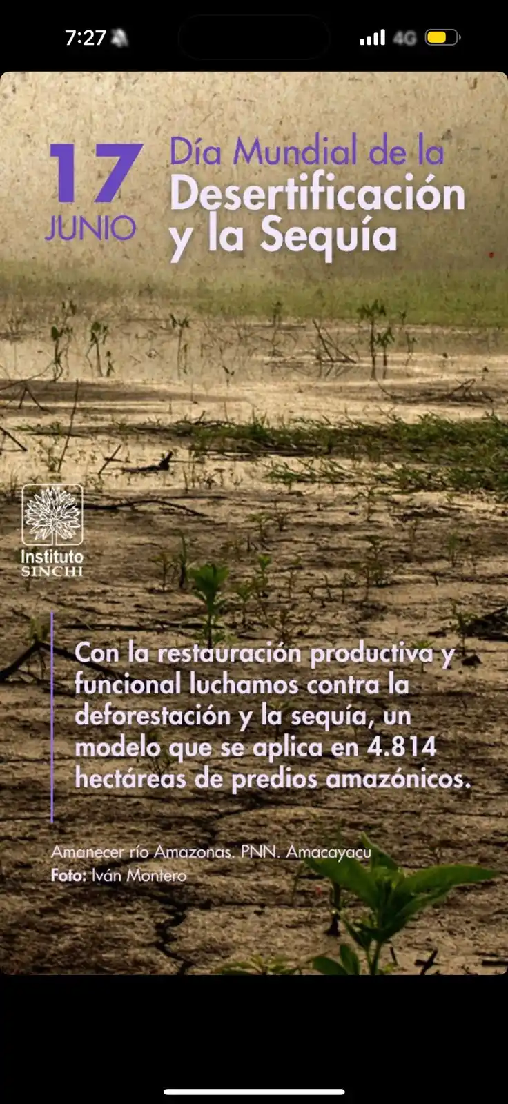 Image from AMAZONIA INFORMADA 🐊 🌿 🦥: 🌱🌱💧Restaurar el bosque es restaurar el equilibrio.  En el <a class=...