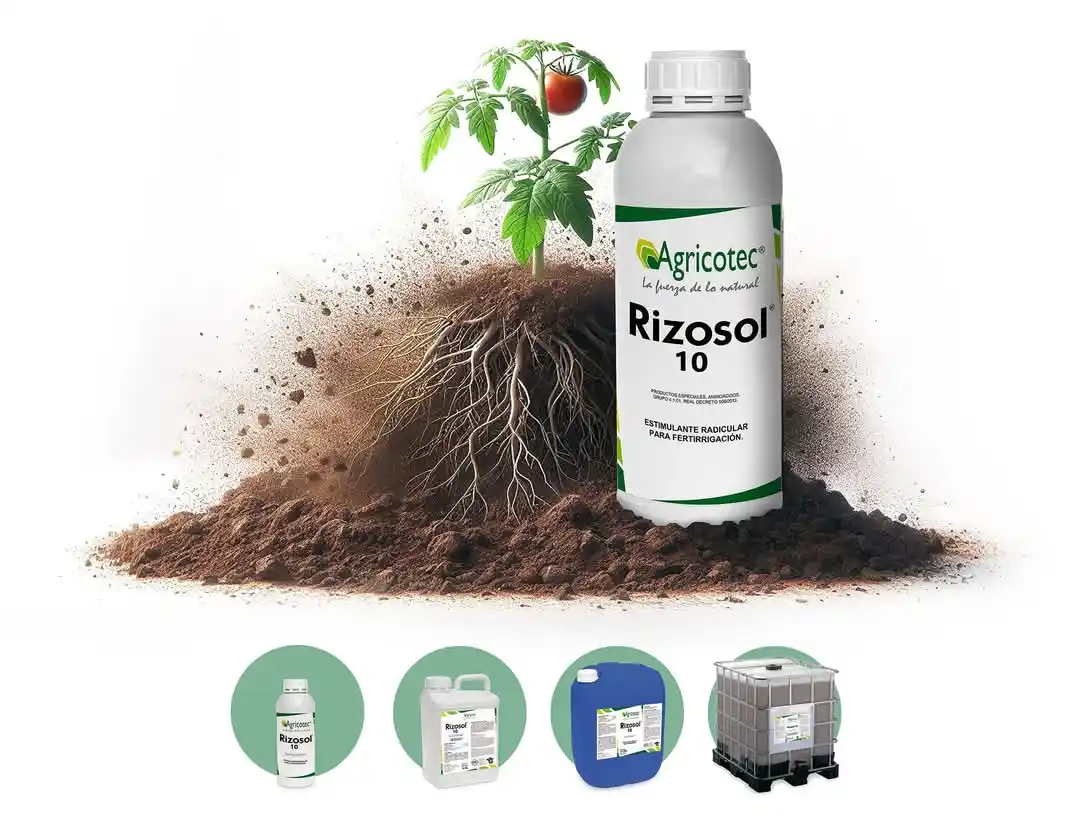 Image from Agricotec Fertilizantes: *Rizosol 10* es un estimulante radicular formulado a base de aminoácid...