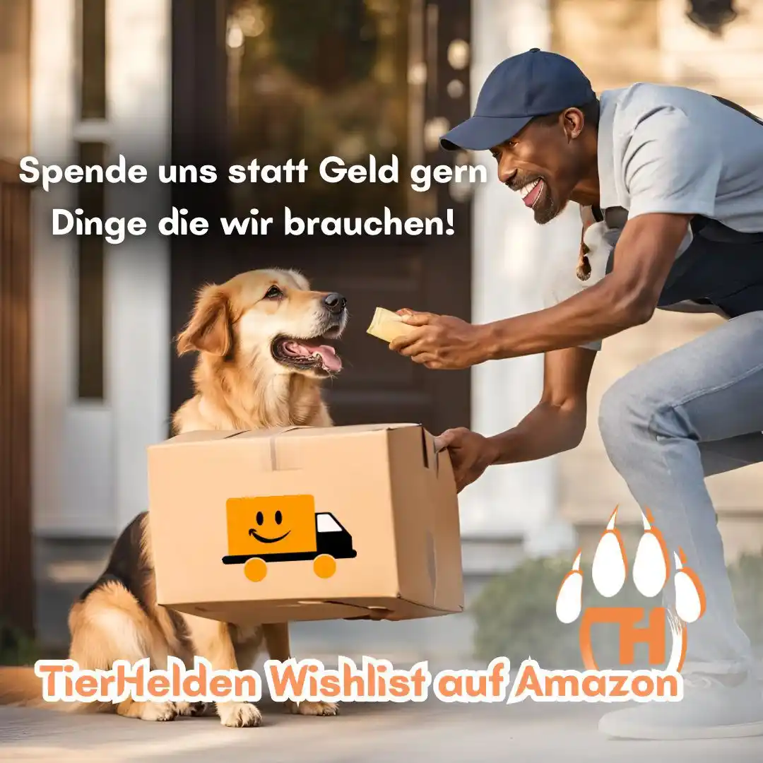 Image from Tierhelden.net: Du würdest uns gern unterstützen aber magst kein Geld weitergeben? Dan...