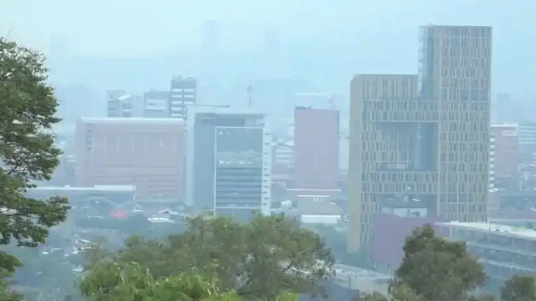 Image from Hora 13 Noticias: ¿Mucha alergia? Estudio de la UdeA revela que en el Valle de Aburrá se...