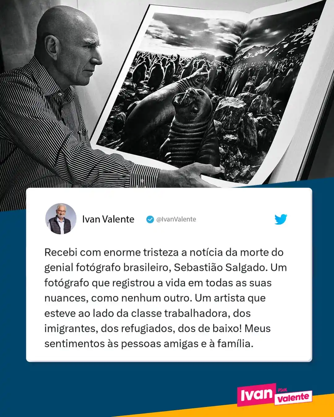 Ivan Valente Deputado Federal post