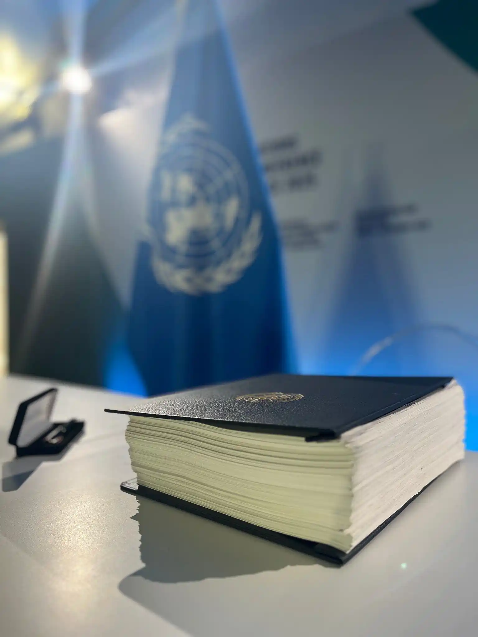 Image from LifeGate: 🌊🐬 Tra i successi diplomatici della Conferenza Onu sugli oceani di N...