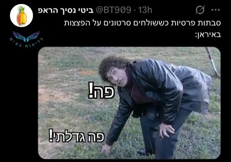 בדיחות_בע''מ post
