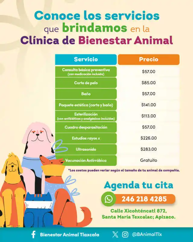 Image from Periódico Econsulta Tlaxcala: 🐶😸 Clínica de Bienestar Animal 😷 Estamos para brindarte el mejor se...