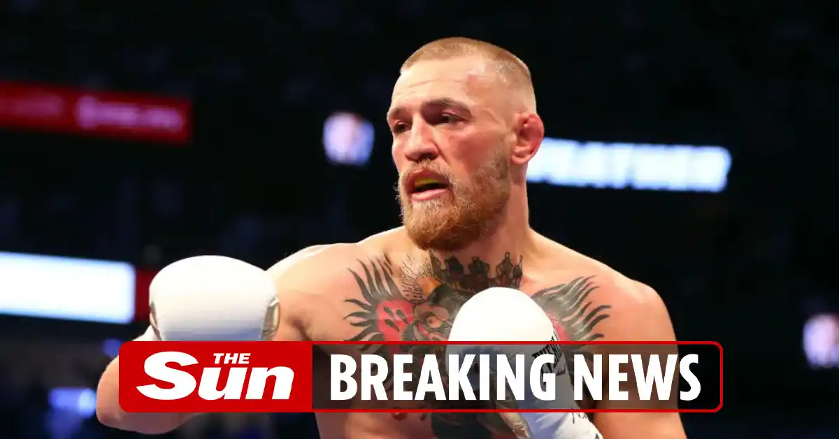 Image from The Sun: Shocking moment UFC thug Conor McGregor pummels club reveller with two...