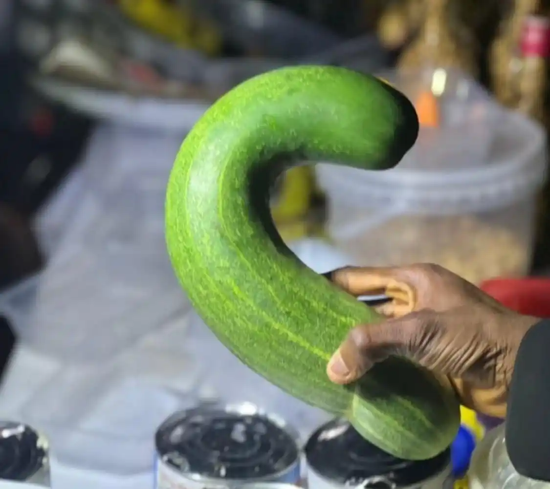Image from KENYA GOSSIP CLUB: Cucumber now grows while curved, let's see what they'll use next. 😂...