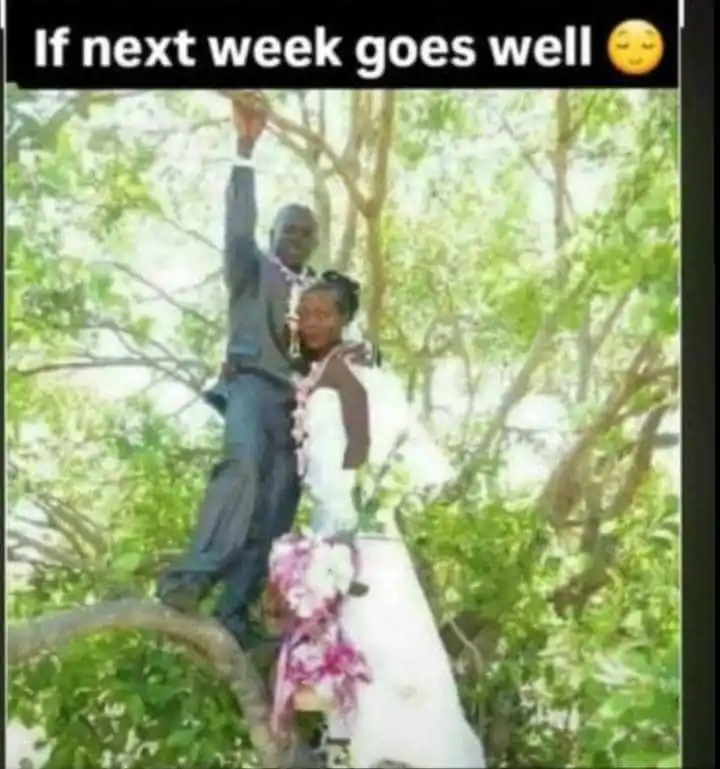 Image from 💙🌼𝔼𝕧𝕖𝕝𝕚𝕟𝕖 𝕊𝕥𝕦𝕕𝕖𝕟𝕥𝕤🌼💙: Mogo lo.jordan wedding bells 🔥🔥...