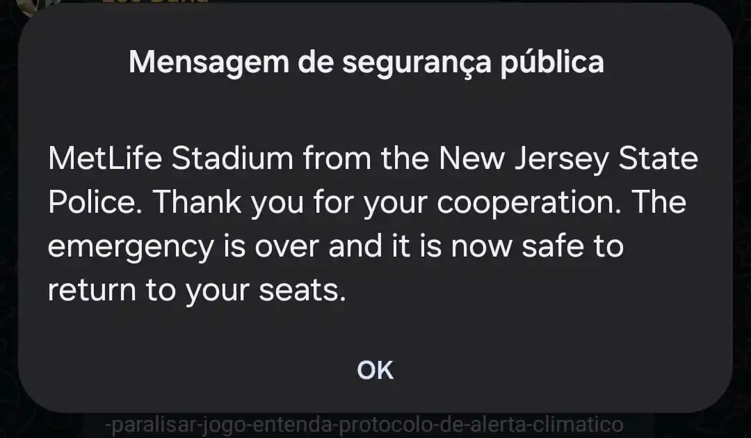 Image from UOL | Palmeiras Agora: *Não tá mais em estado de emergência 🙌*  A galera que tá lá no MetLif...