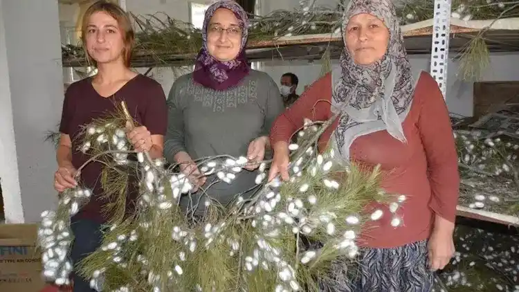 Image from bigpara: Anne ile kızı devlet desteğiyle patron oldu https://bigpara.hurriyet....