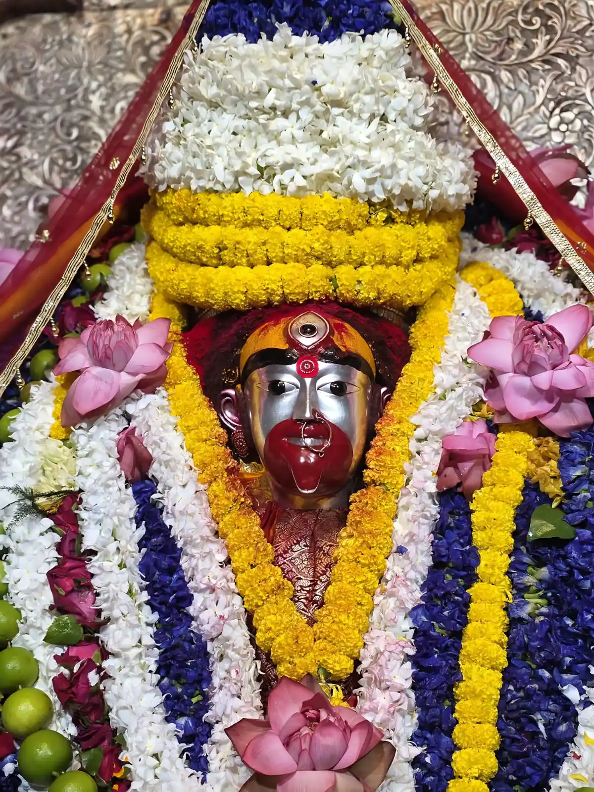 Image from Taramar Bari, Shrirmpur, Hooghly /তারামার বাড়ি শ্রীরামপুর: দেবা ঊচুঃ ॥ সর্বাবাধাপ্রশমনং ত্রৈলোক্যস্যাখিলেশ্বরি । এবমেব ত্বয়া কার...