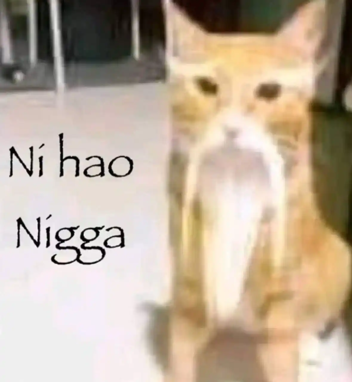 Image from epiPHANNY ! ! !: Emm yop, esto no es video pero igual yop...