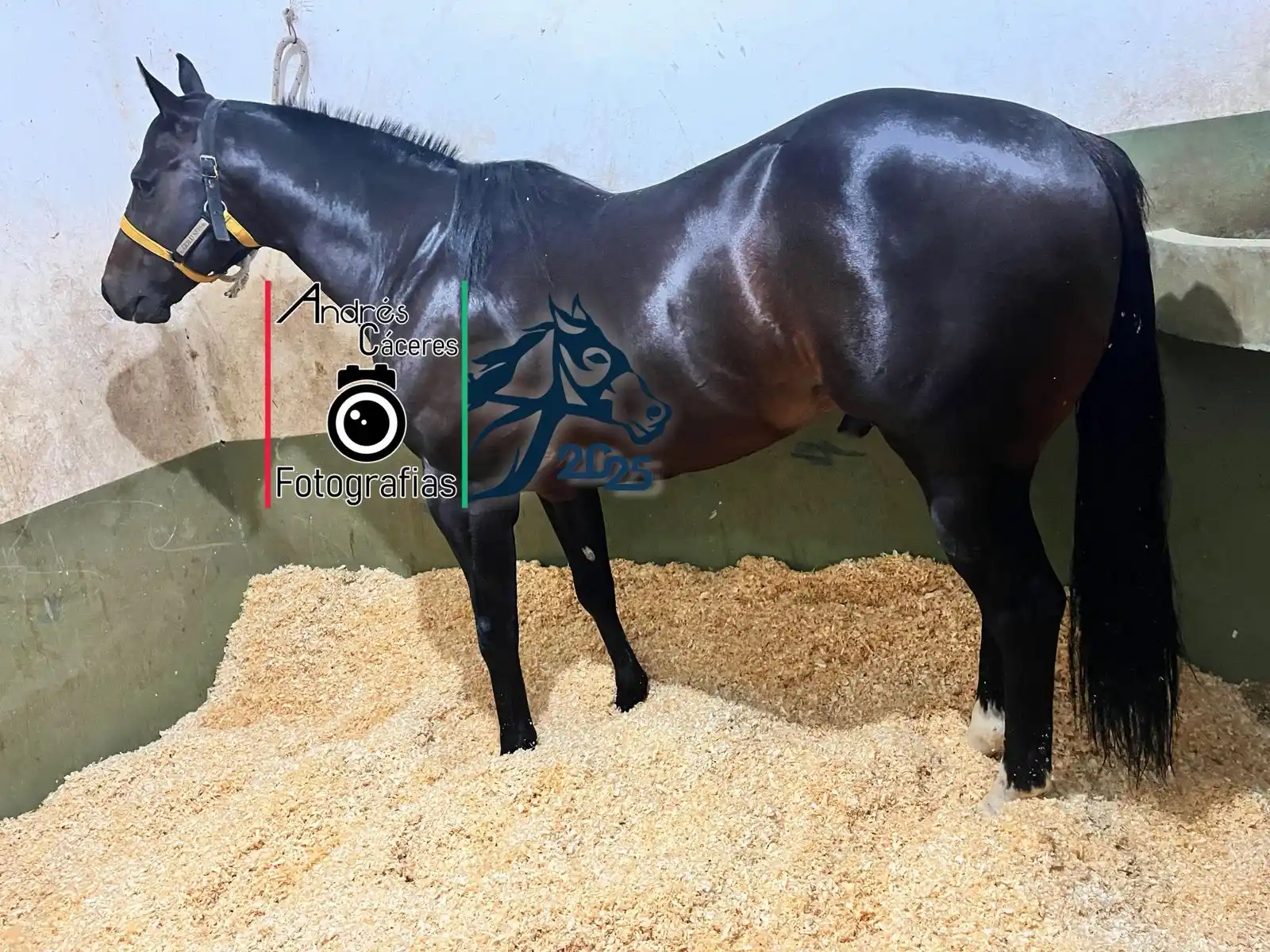 Fotografías Andrés Cáceres  post