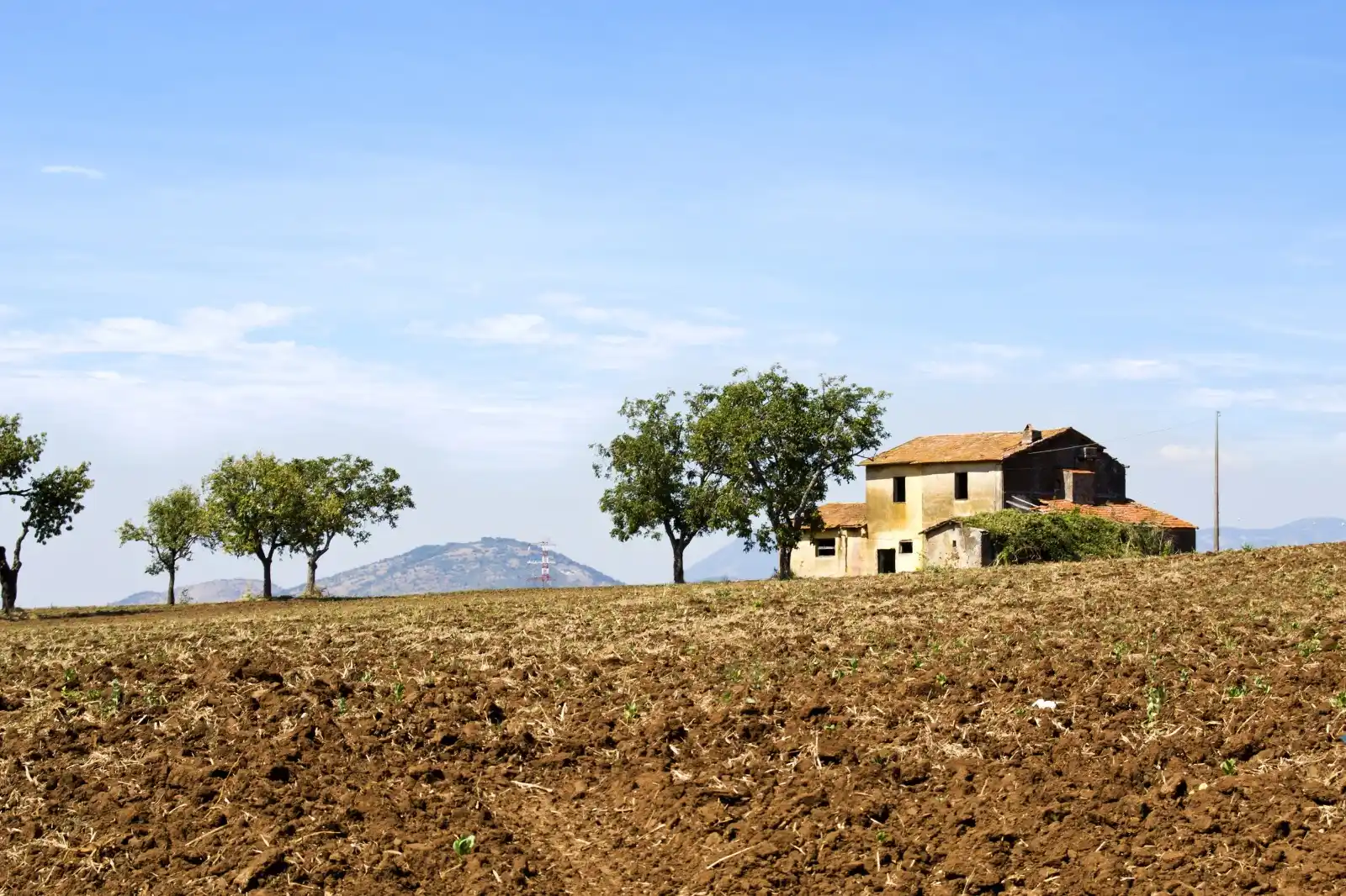 Image from Confedilizia: *PRELAZIONE AGRARIA E DIRITTO ALLA PROVVIGIONE DEL MEDIATORE* “Il conf...