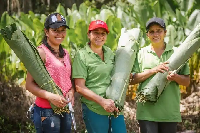 Image from Ministerio de Agricultura y Desarrollo Rural: *Sancionada nueva Ley de Mujer Rural* Nuestro gobierno mejora las cond...