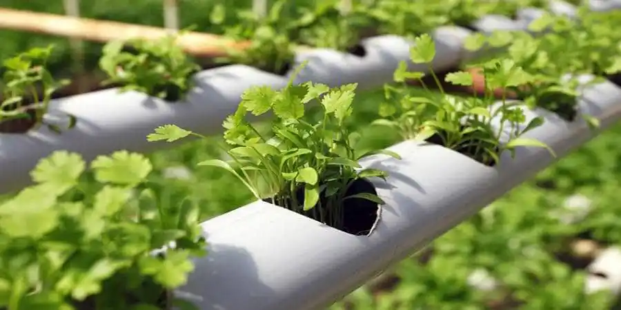 اگروفودنیوز post