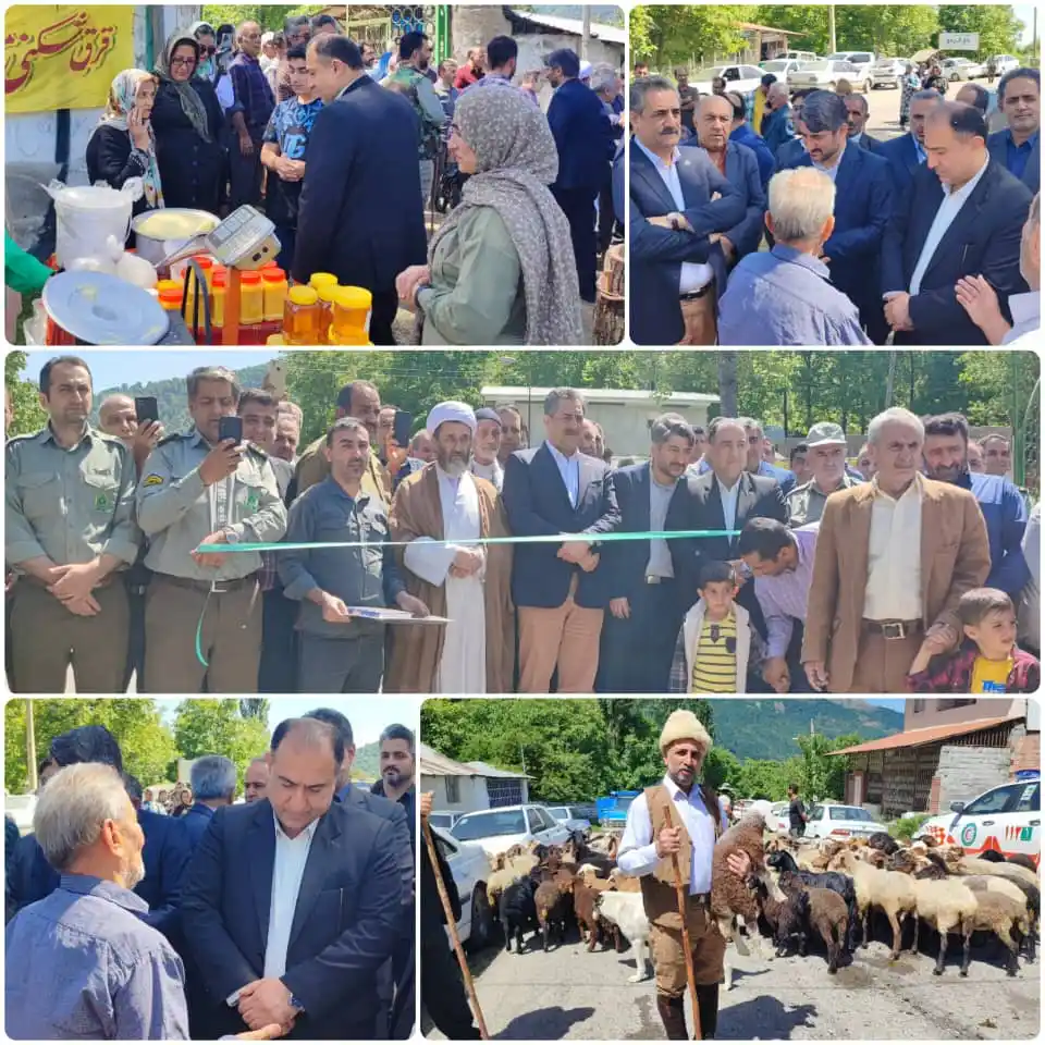 Image from کانال اطلاع رسانی دکتر احمد فاطمی: <a class="text-blue-500 hover:underline cursor-pointer" href="/hashtag...