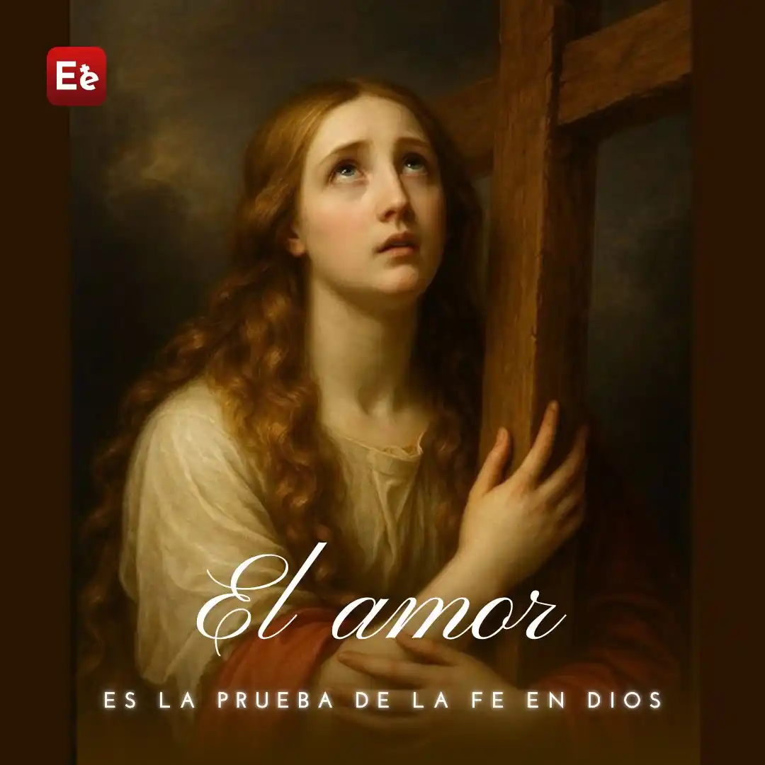 Image from PREPARACIÓN DE PENTECOSTÉS CON EJERCICIOS IGNACIANOS : *La prueba de la fe en Dios es el amor, el amor total, el amor heroico...