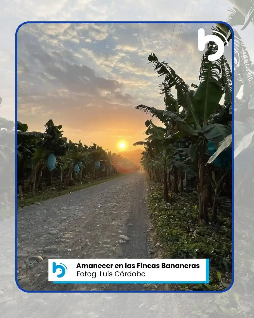 Image from Noticias El Boom: 🥰 <a class="text-blue-500 hover:underline cursor-pointer" href="/hash...