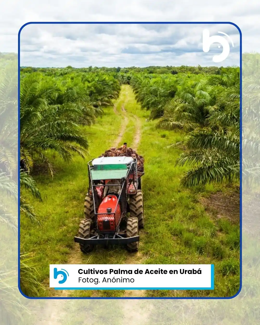 Image from Noticias El Boom: 🥰 <a class="text-blue-500 hover:underline cursor-pointer" href="/hash...