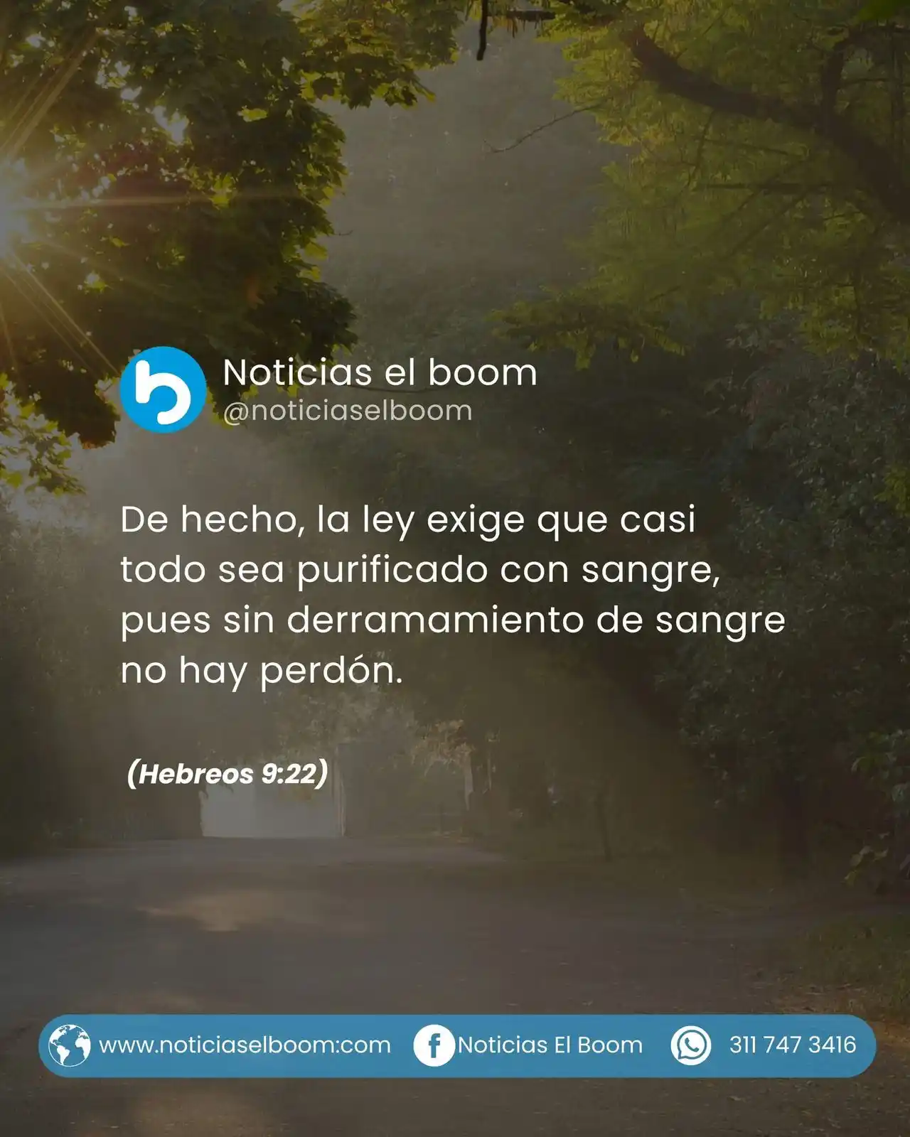Image from Noticias El Boom: 📩 <a class="text-blue-500 hover:underline cursor-pointer" href="/hash...