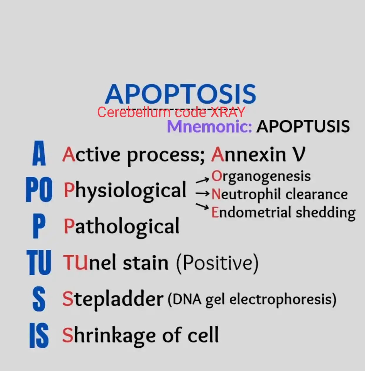 Image from NEET PG/INCET/FMGE PREPARATION⚕️🏥👨⚕️👩⚕️🚀: 🎯 *Must Know PYQ NEET 2025* 🎯 *Flashcards* # *NEETPG* *<a class="tex...