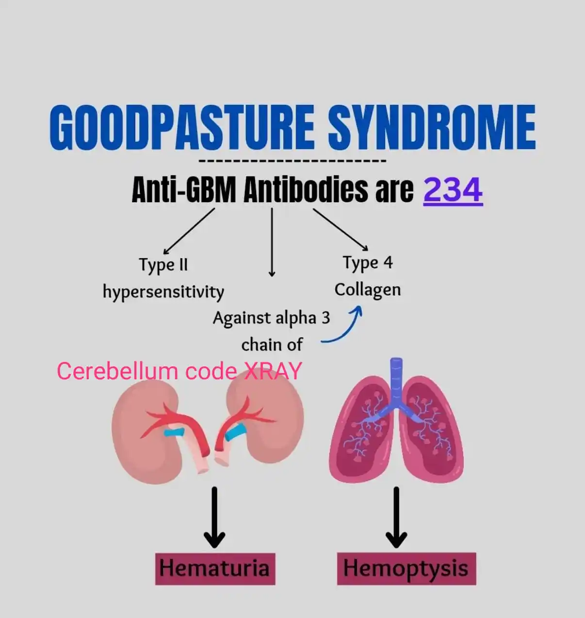 Image from NEET PG/INCET/FMGE PREPARATION⚕️🏥👨⚕️👩⚕️🚀: 🎯 *Must Know PYQ NEET 2025* 🎯 *Flashcards* # *NEETPG* *<a class="tex...