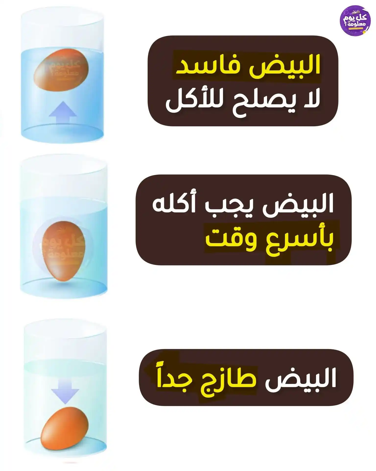 Image from شبكة حضرموت الاعلامية 📡: *📚 ↜اضف الى معلوماتك 📚* كيـف تتعـرف علـى مــدى صلاحيـة البيـض الفاس...